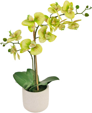 Kunst Orchidee Real Touch 60 cm groen