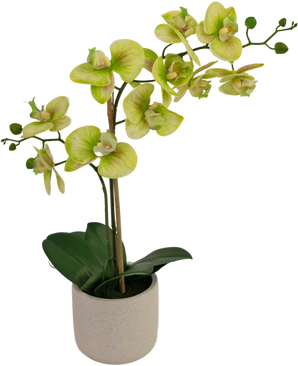 Kunst Orchidee Real Touch 30 cm groen