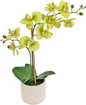 Kunst Orchidee Real Touch 60 cm groen