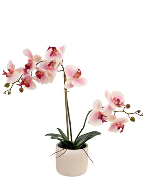 Kunst Orchidee Real Touch 60 cm roze/wit