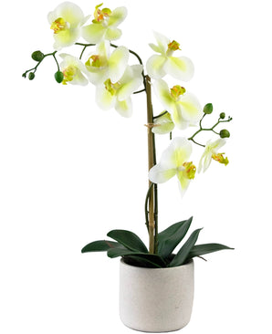 Kunst Orchidee Real Touch 60 cm groen/wit