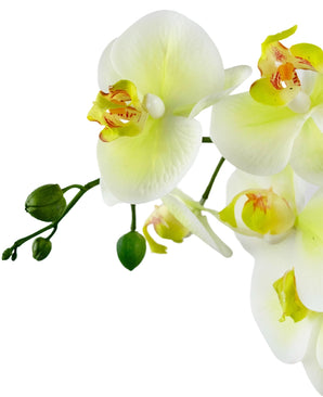 Kunst Orchidee Real Touch 60 cm groen/wit