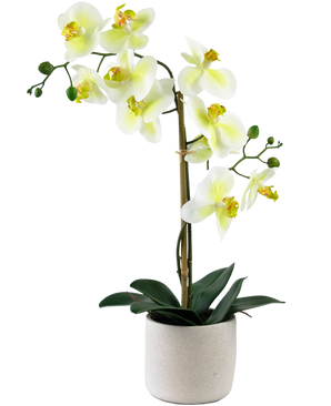 Kunst Orchidee Real Touch 60 cm groen/wit