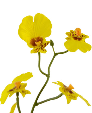 Kunst Oncidium Real Touch 48 cm geel