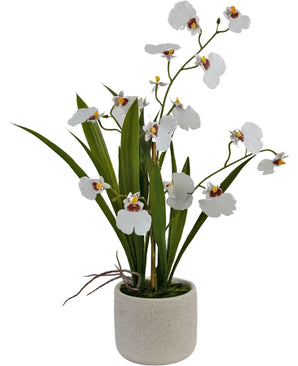 Kunst Oncidium Real Touch 48 cm wit