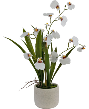 Kunst Oncidium Real Touch 48 cm wit