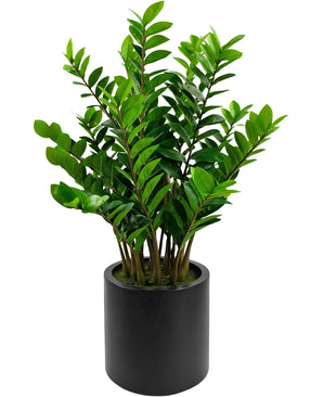 Kunstplant Zamioculcas kant en klaar in zwarte pot 120 cm