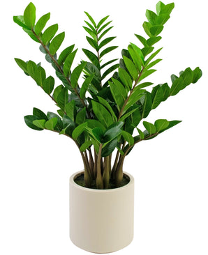 Kunstplant Zamioculcas kant en klaar in beige pot 80 cm