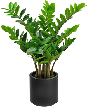 Kunstplant Zamioculcas kant en klaar in zwarte pot 80 cm