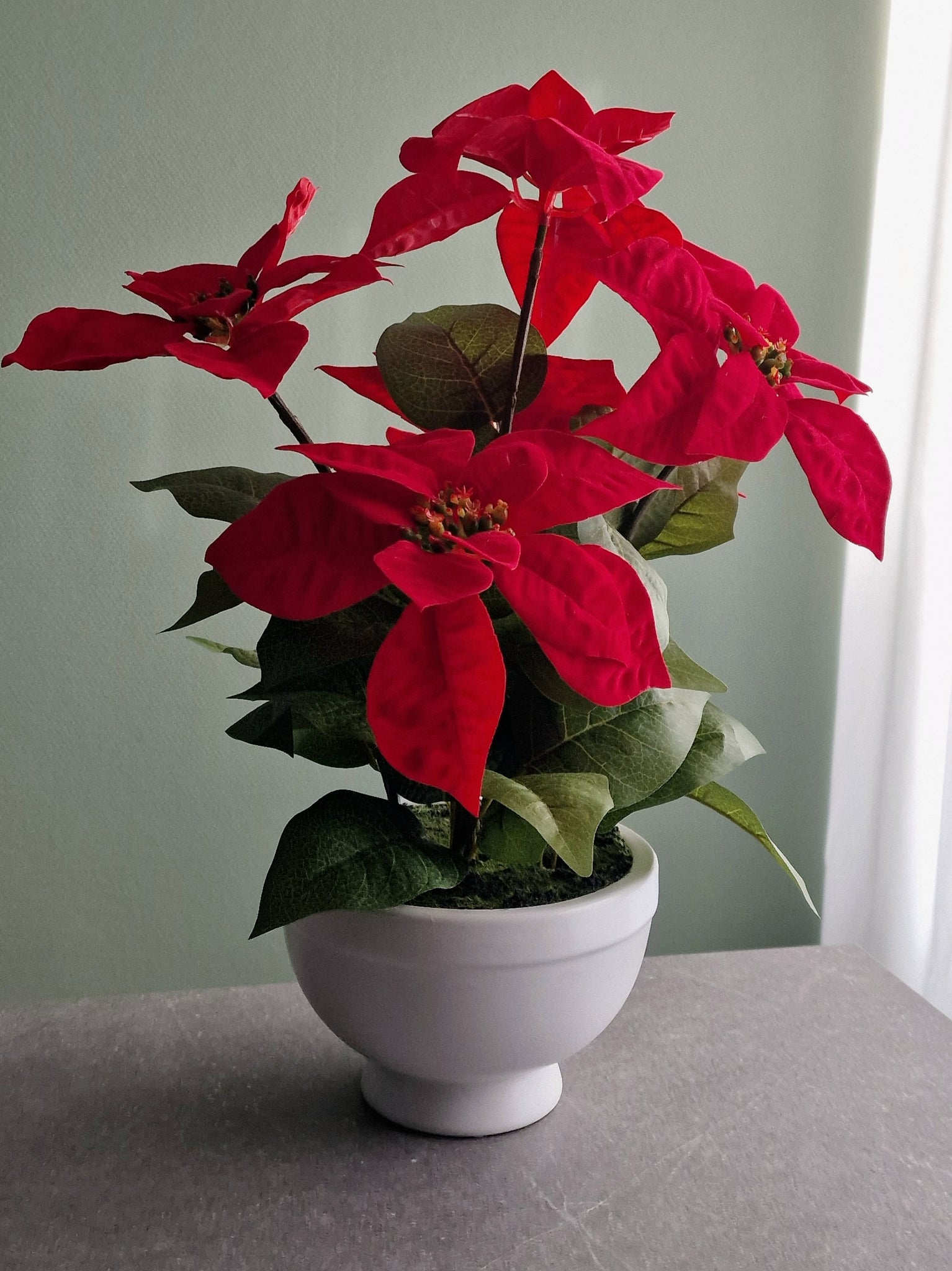 Kunstplant Kerstster 44 cm rood