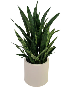 Kunst Sansevieria Zylanica 43 cm kant en klaar in beige pot