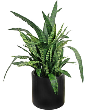 Kunst Sansevieria Zylanica 43 cm kant en klaar in zwarte pot