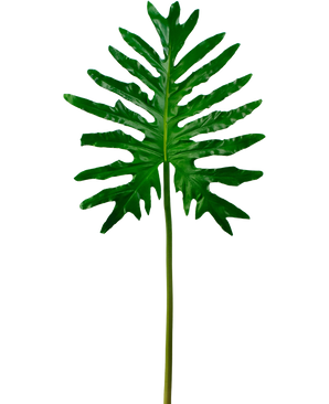 Kunstblad Philodendron 90cm