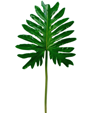 Kunstblad Philodendron 68cm