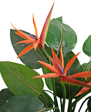 Kunstplant Strelitzia 120 cm