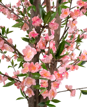 Kunstplant Kersenbloesem 180 cm roze