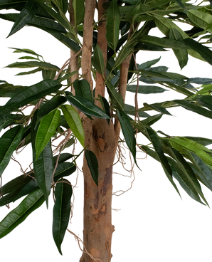 Kunstplant Longfolia 180 cm