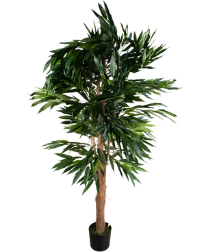 Kunstplant Longfolia 180 cm