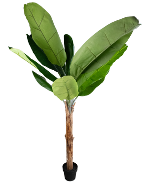 Kunstplant Bananenboom 180 cm