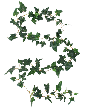 De Kunst Boston klimop slinger groen 180 cm UV is een lange kunstliaan met groene, klimopvormige bladeren in een losse "S"-vorm tegen een witte achtergrond.