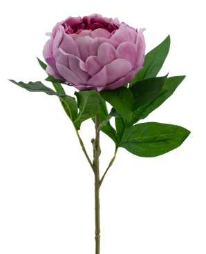 Kunstbloem Lotus pioenroos Real Touch paars 58 cm