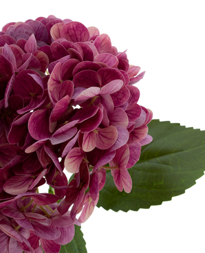 Kunstbloem Charlotte hortensia Real Touch Paars 49 cm