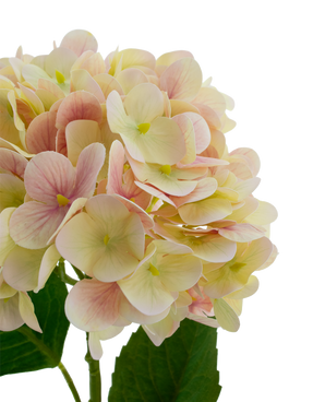 Kunstbloem Hortensia Real Touch Roze 58 cm
