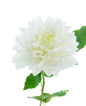 Kunstbloem Dahlia Real Touch wit 54 cm