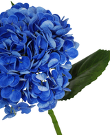 Een close-up van de Kunstbloem Charlotte Hortensia Real Touch dblue 55 cm toont de levendige blauwe bloemblaadjes en het enkele groene blad tegen een effen witte achtergrond.