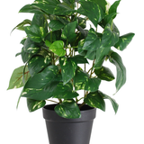 De Kunstplant Gouden Wijnstok in Pot 40cm heeft hartvormige groene bladeren met gele schakeringen, gepresenteerd in een strakke zwarte pot en tegen een witte achtergrond.