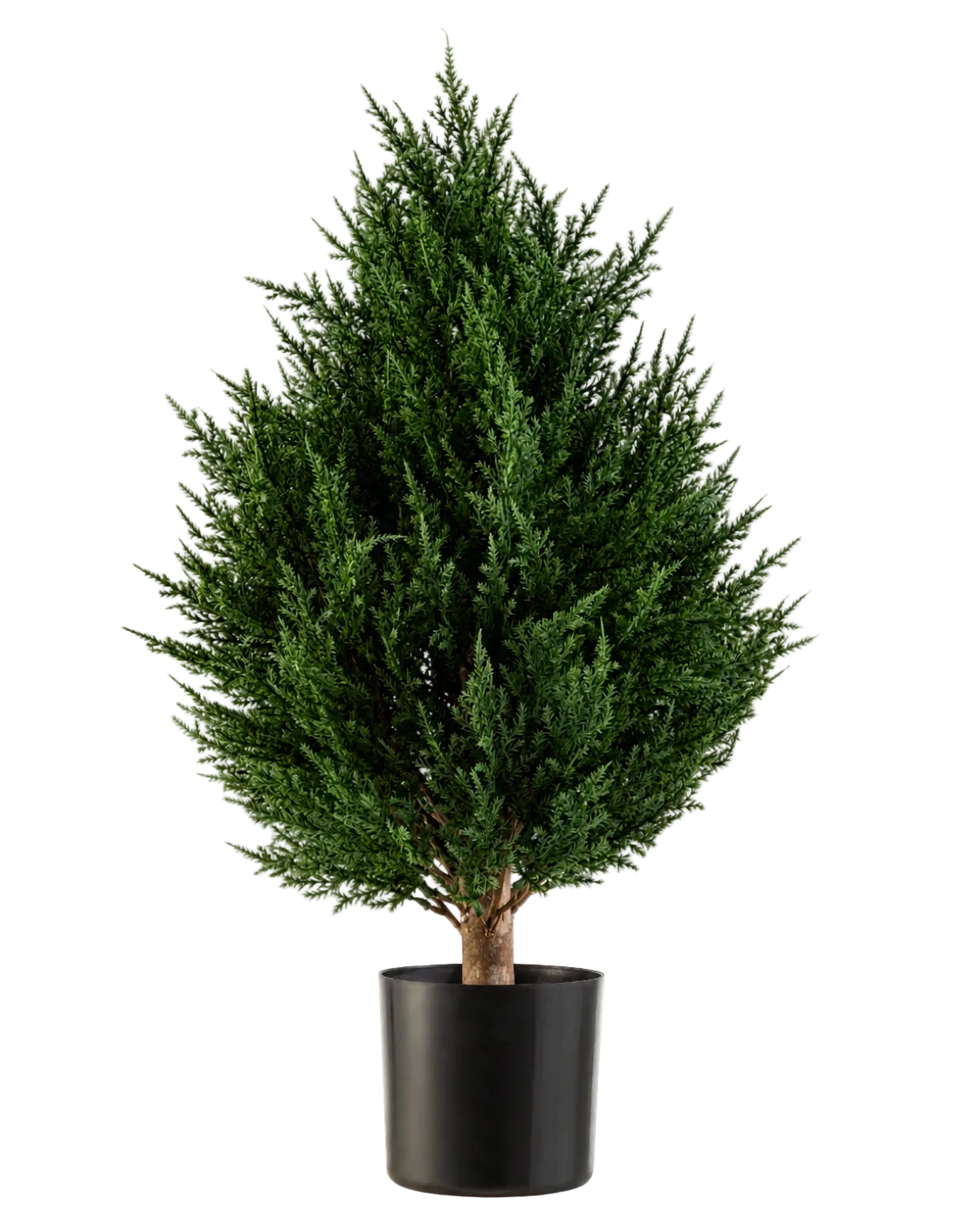 De Kunstplant Conifeer Deluxe UV 60 cm van Easyplants is een compacte, bossige kunstplant met groenblijvend blad en rijkgroen blad, gepresenteerd in een zwarte pot tegen een witte achtergrond. Dit maakt hem tot een uitstekende keuze onder de kunstplanten voor buiten en zorgt moeiteloos voor levendig groen in elke omgeving.