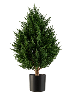 De Kunstplant Conifeer Deluxe UV 60 cm van Easyplants is een compacte, bossige kunstplant met groenblijvend blad en rijkgroen blad, gepresenteerd in een zwarte pot tegen een witte achtergrond. Dit maakt hem tot een uitstekende keuze onder de kunstplanten voor buiten en zorgt moeiteloos voor levendig groen in elke omgeving.