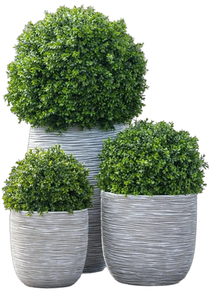 Kunstplanten voor buiten