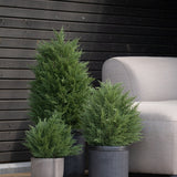 De Kunstplant Conifeer UV 40 cm kunstconiferen staan op een houten terras naast een lichtgrijze buitenbank, tegen een moderne muur met donkere houten panelen.