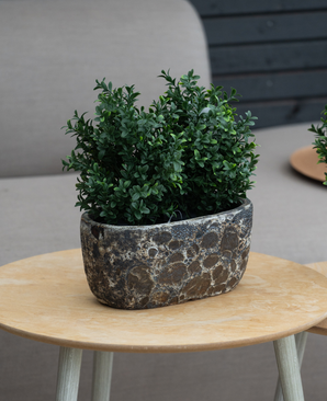 De Kunstplant Buxus Romeinse stijl UV 36cm, een kleine groenbladige kunstplant in een stenen plantenbak met structuur, staat op een lichthouten ronde tafel met een beige bank en donkere houten muur op de achtergrond.