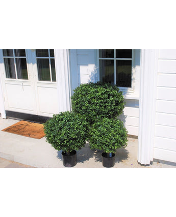 Buxus Kunstbal Op Stam Romeinse Stijl 65cm