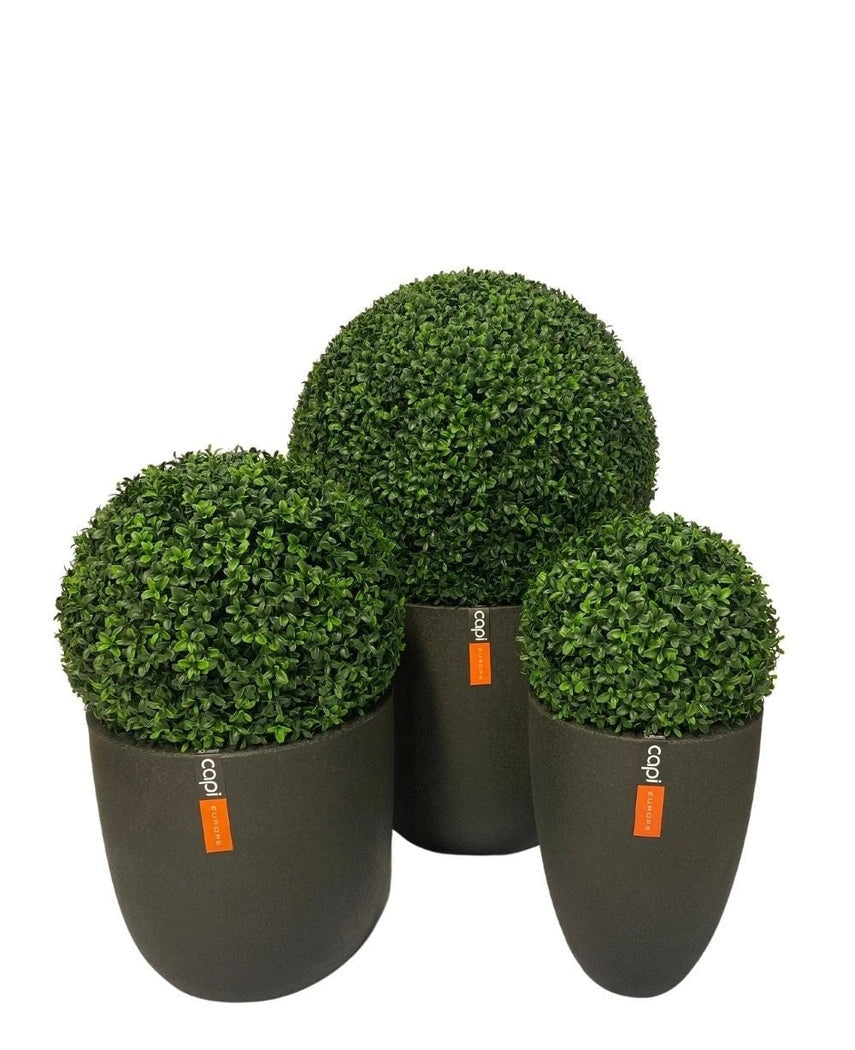 Buxus kunstbol Romeinse stijl UV D40cm