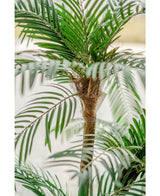 Cycas Kunstpalm Classic 135 cm