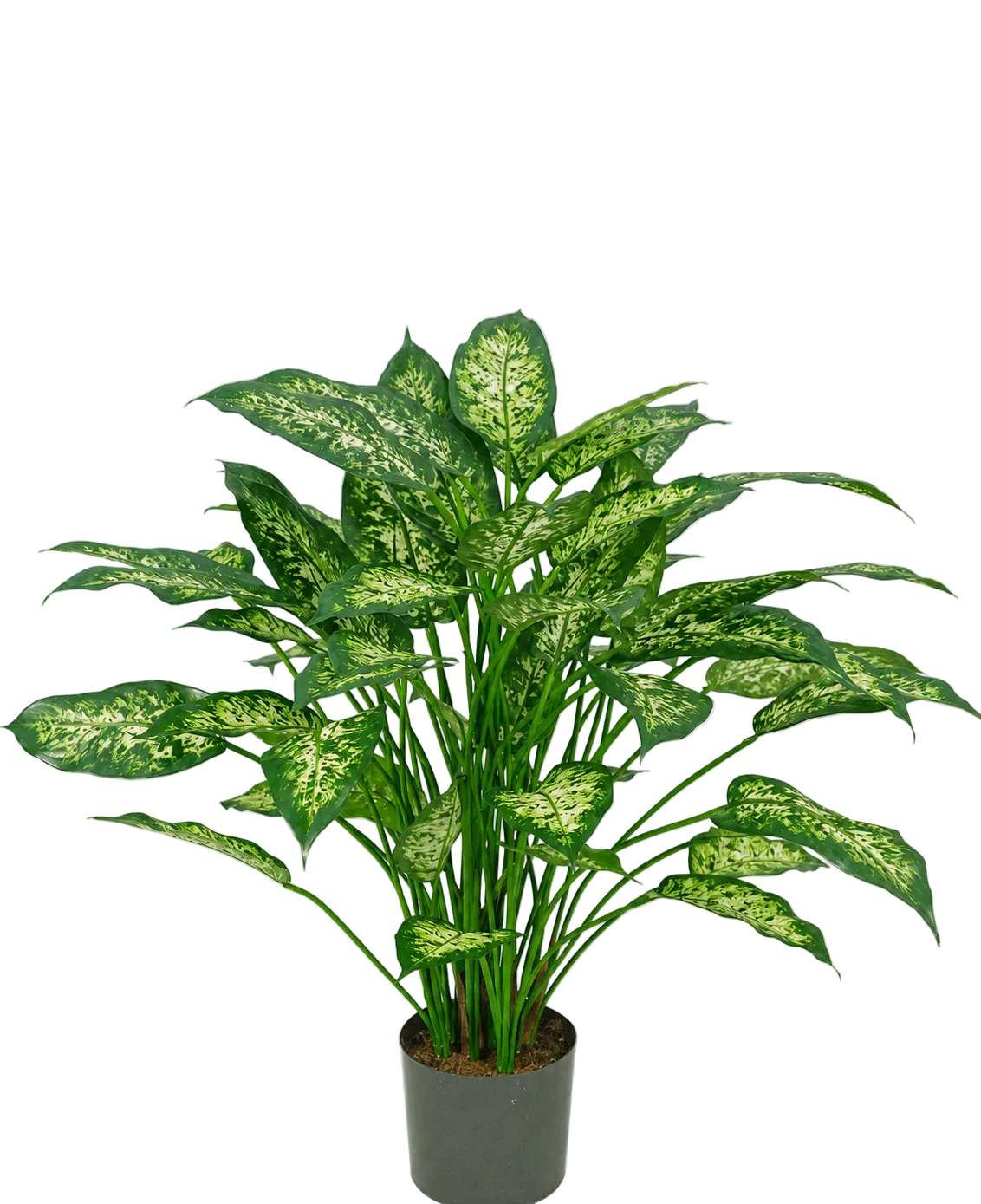 Een kunstplant Dieffenbachia van 75 cm met weelderige groene bladeren, versierd met lichtgeelgroene aftekeningen, afgebeeld tegen een effen witte achtergrond.