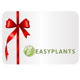 Een rechthoekige Digitale Cadeaubon kaart met een rood lint en strik aan de linkerkant, met een groen cirkelvormig plantenlogo en de tekst EASYPLANTS in groen op een witte achtergrond.