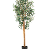 De Kunst olijfboom UV 160 cm is een hoge kunstolijfboom met slanke takken, groene bladeren en een stam met realistische structuur in een eenvoudige zwarte pot tegen een witte achtergrond.