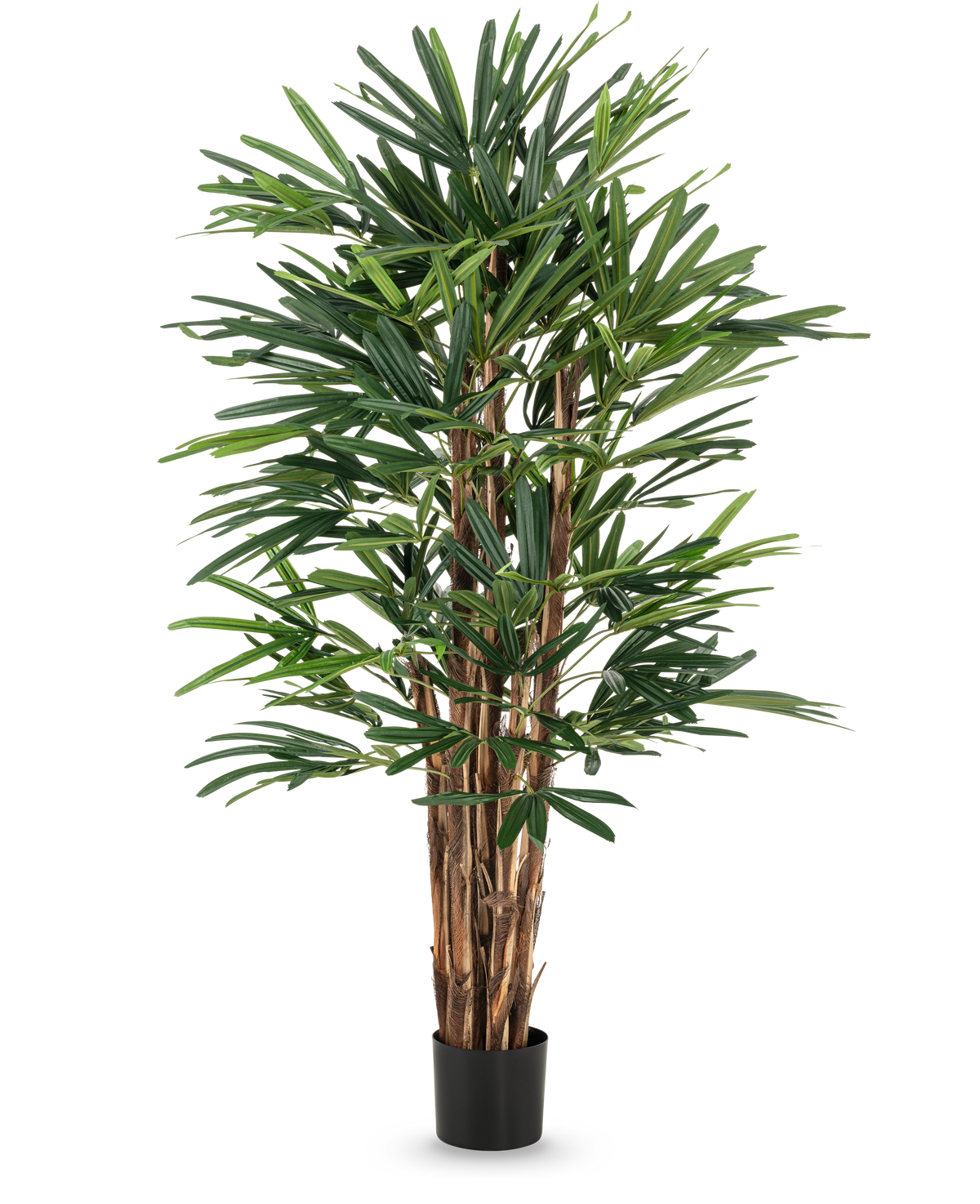 De Lady Kunstpalm 150 cm heeft meerdere bruine stengels en dichte, slanke groene bladeren in een eenvoudige zwarte pot. Deze hoge potplant is ideaal voor liefhebbers van kunstbomen en zorgt voor weelderig groen tegen elke achtergrond.