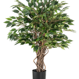 De Kunstplant Ficus Liana 90 cm heeft gedraaide bruine stammen en dichte groene bladeren in een zwarte pot, ideaal als kantoorplant of voor elke ficusverzameling, afgebeeld tegen een witte achtergrond.