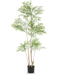 Kunstplant Ruscus 180 cm