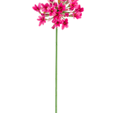 De Kunstbloem Agapanthus 77 cm roze heeft een enkele groene steel met meerdere trossen felroze bloemen, elk met meerdere bloemblaadjes, tegen een effen witte achtergrond.