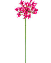 Kunstbloem Agapanthus 77 cm roze