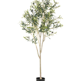 De Kunst Olijfboom 180 cm heeft meerdere slanke takken en groene bladeren in een eenvoudige zwarte pot, tegen een effen witte achtergrond - een elegant decoratief accent voor elke ruimte.