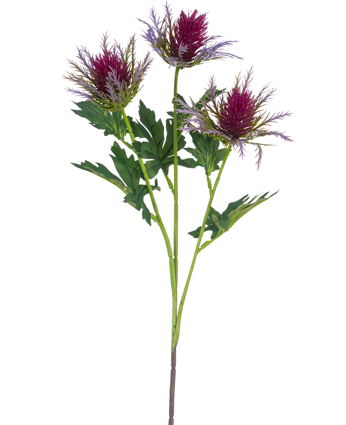De Kunsttak Distel 67 cm paars heeft een enkele steel met drie stekelige, paarse distelachtige bloemen en grillige groene bladeren tegen een witte achtergrond.
