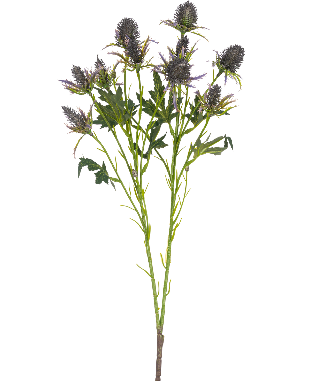 De Kunsttak Distel 68 cm blauw heeft een enkele steel met meerdere stekelige blauwe distelbloemen en gekartelde groene bladeren, geïsoleerd op een witte achtergrond.