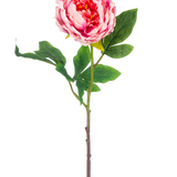 De Kunstbloem Pioenroos 61 cm roze heeft een enkele roze pioenroos met weelderige groene bladeren en een lange bruine steel, geïsoleerd op een witte achtergrond.